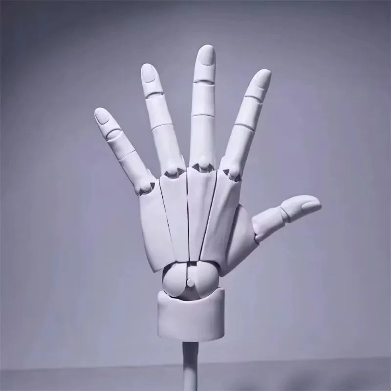 Multi-Pose Tegning Skulptur Kunst Hånd Modell | Skanto