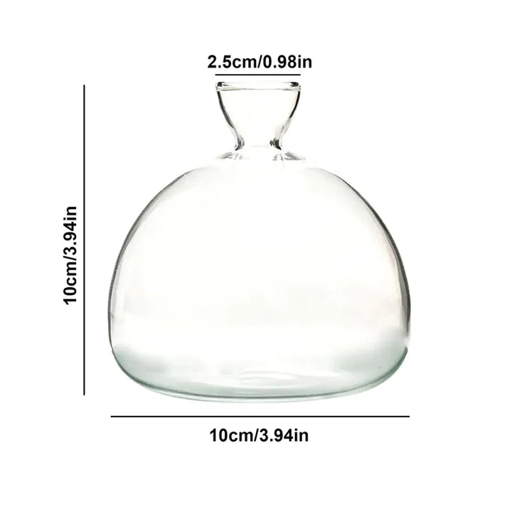 Skanto | Avokado Vase Glass | Transparent Spireglass | Plantekonteiner for Avokado Dyrking | 10–15 cm