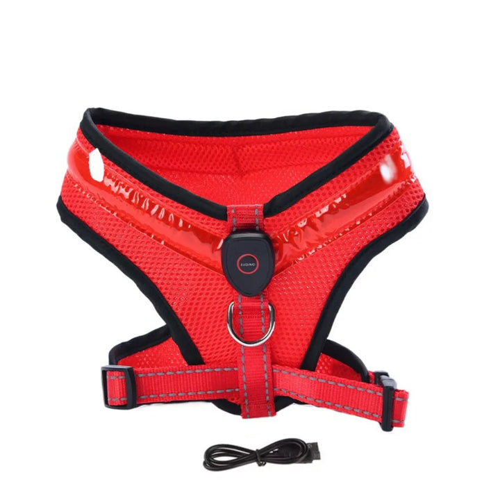 LED Hundesele USB oppladbar og justerbar Skanto