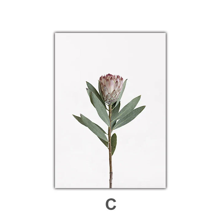 Minimalist Pink Floral Botanical Wall Art Fine Art Canvas Prints Posters Elegant Pictures For Nordic Living Room Dining Room Bedroom Art Decor | Skanto