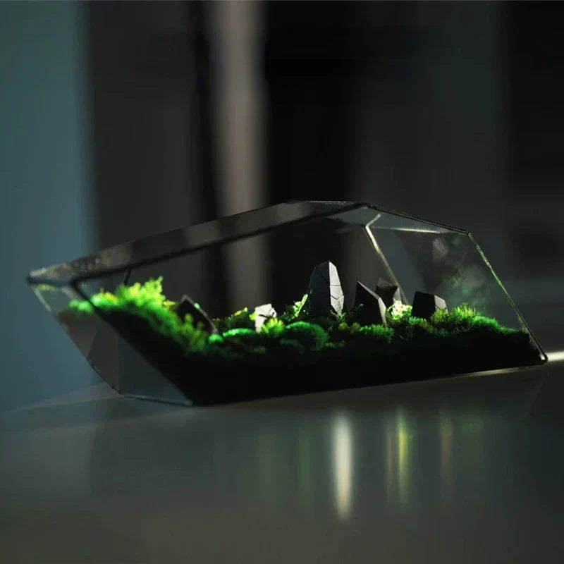 Geometrisk Glass Moss Plante Terrarium Vase | Skanto