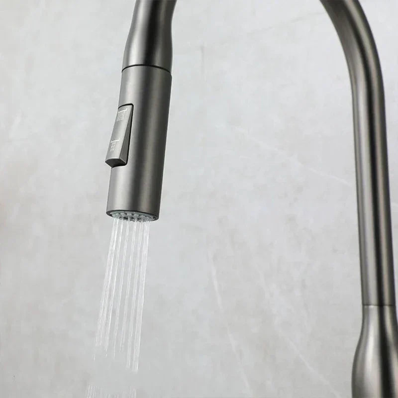 AquaStream Luxe – Justerbar Kjøkkenkran med Hånddusj Skanto