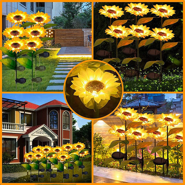 Skanto | Solar-Solblomster: Vanntett Hageglede