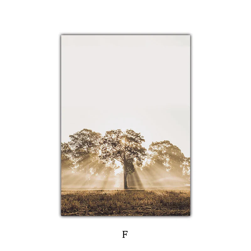 Simple Nature Floral Landscape Gallery Wall Art Fine Art Canvas Prints Minimalist Nordic Pictures for Living Room Scandinavian Home Decor | Skanto