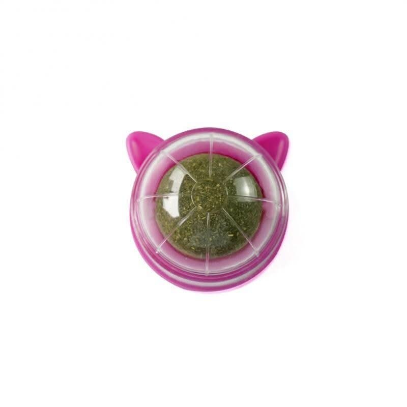 Skanto | PURRFECT KATTNIP LEKETØY – Katt leketøy med mynt & roterende ball for sunne tenner
