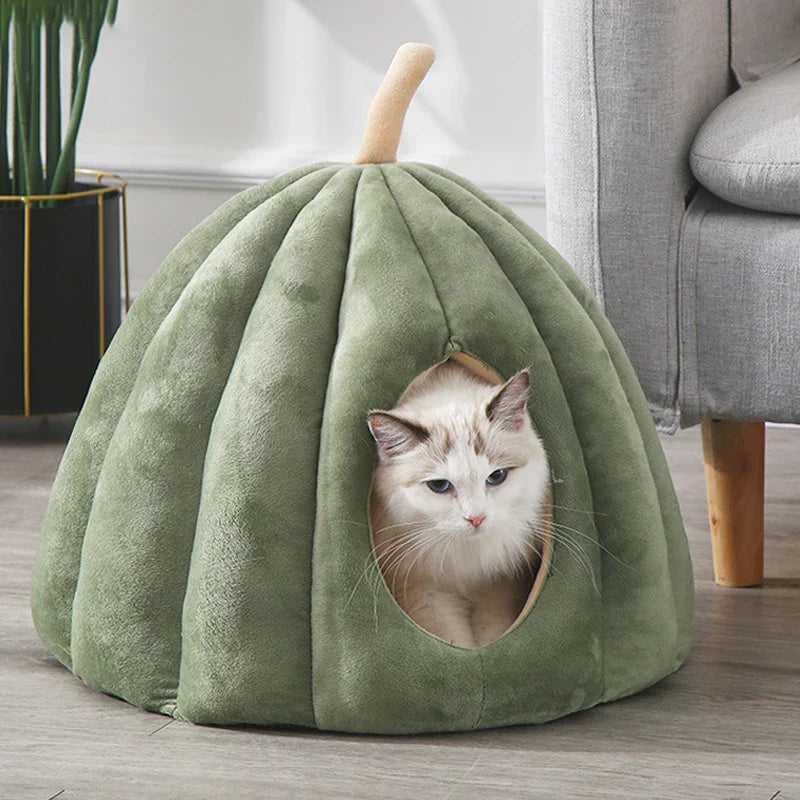 Skanto | Cozy Nook for Your Purrer