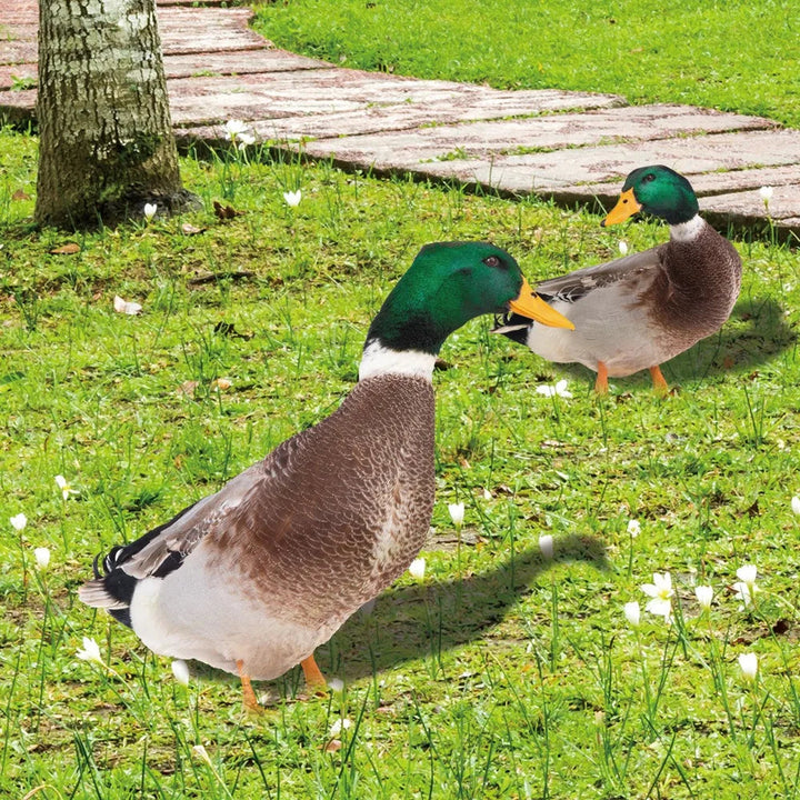 DuoDuck Realistisk Dobbelsidig Grå Fjær Skulptur Skanto