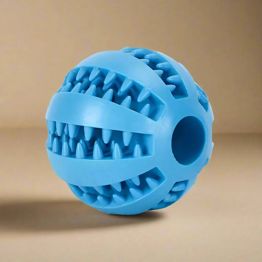 Skanto | KauSpaß Intelligensball – For sunne tenner & smarte hjerner