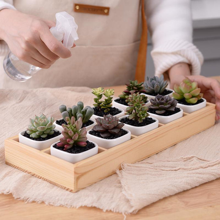 Skanto | Mini Planter Tray Set