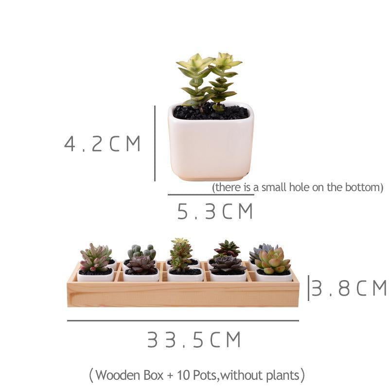 Skanto | Mini Planter Tray Set