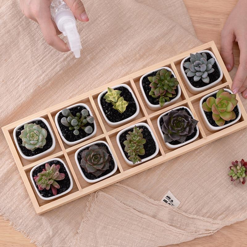 Skanto | Mini Planter Tray Set