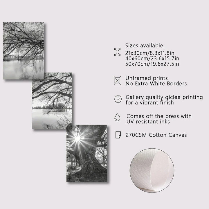 Set av 3 stk Store Tre Sjø Solnedgang Veggkunst Fine Art Lerretstrykk Svart-hvitt Landskapsbilder For Stue Soverom Spisestue Kunst Dekor | Skanto