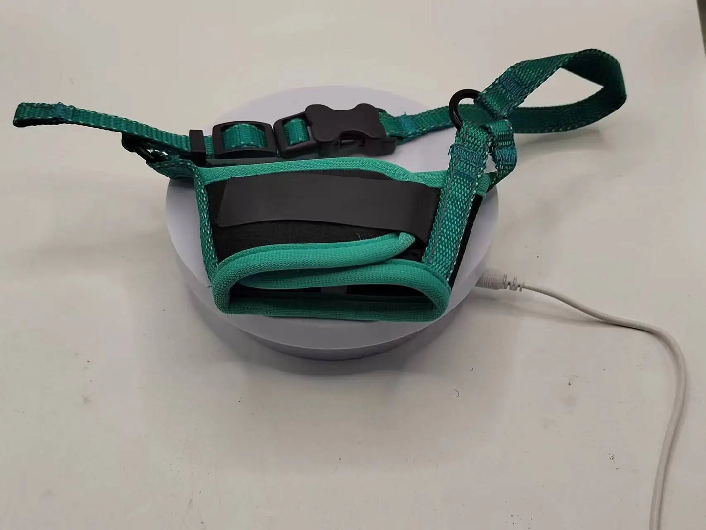 Norvo | Pustende Hundemuzzle