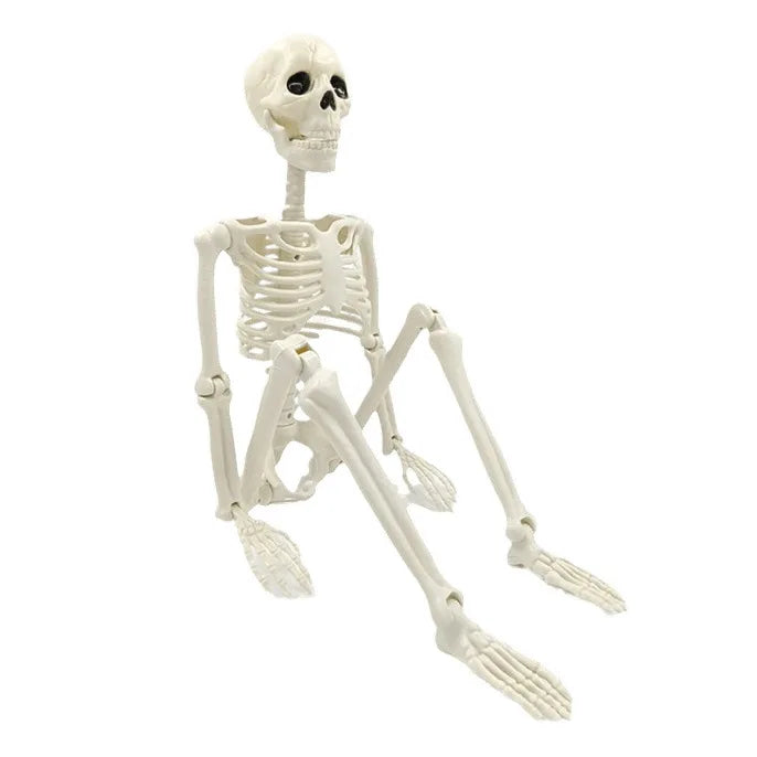 Skanto | Flyttbar menneskelig skjelett 90–165 cm — realistisk dekorasjon for Halloween og skrekkfester