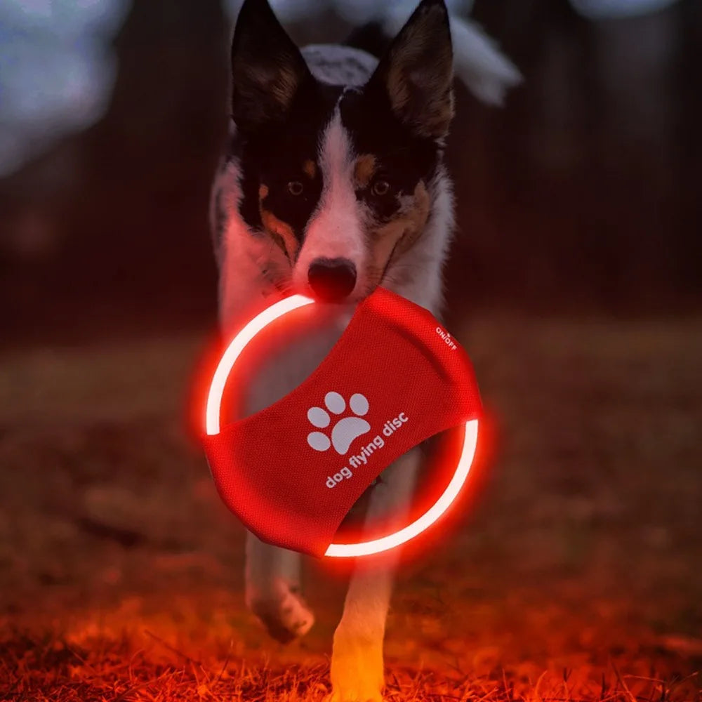 LED Frisbee for dogs oppladbar og vanntett Skanto