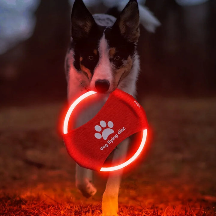 LED Frisbee for dogs oppladbar og vanntett Skanto