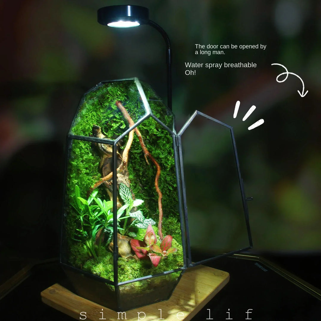 Moderne Geometriske Natur-Inspirerte Botaniske Terrarium | Skanto