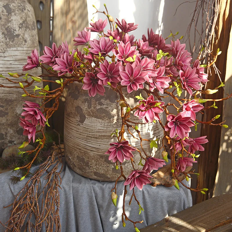 Skanto | Künstige Magnolia Blomster