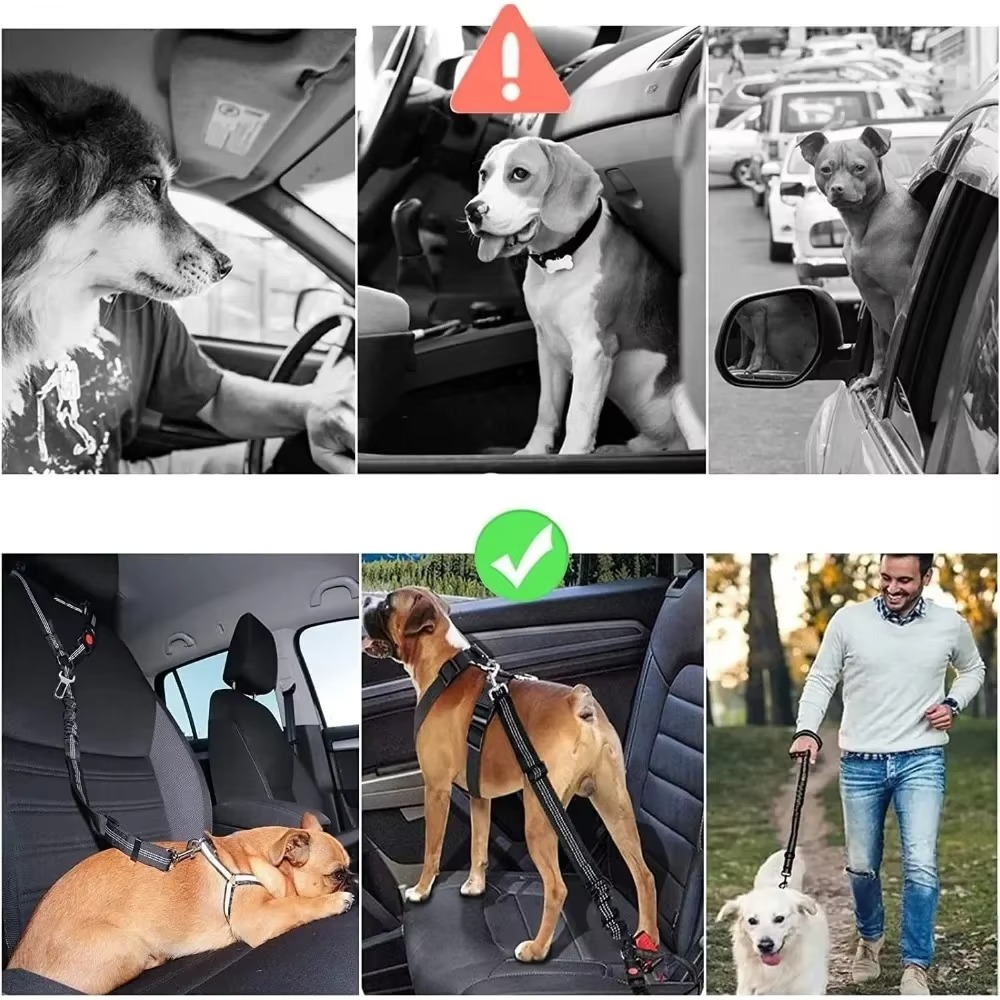 Skanto | Justerbar Reflekterende 2-i-1 Hund Bil Sikkerhetsbelte Tether med Hodepute Restriksjon