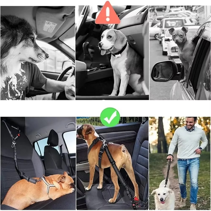 Skanto | Justerbar Reflekterende 2-i-1 Hund Bil Sikkerhetsbelte Tether med Hodepute Restriksjon