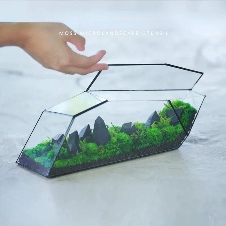 Geometrisk glassmoos-plantekasse terrarium-vase | Skanto