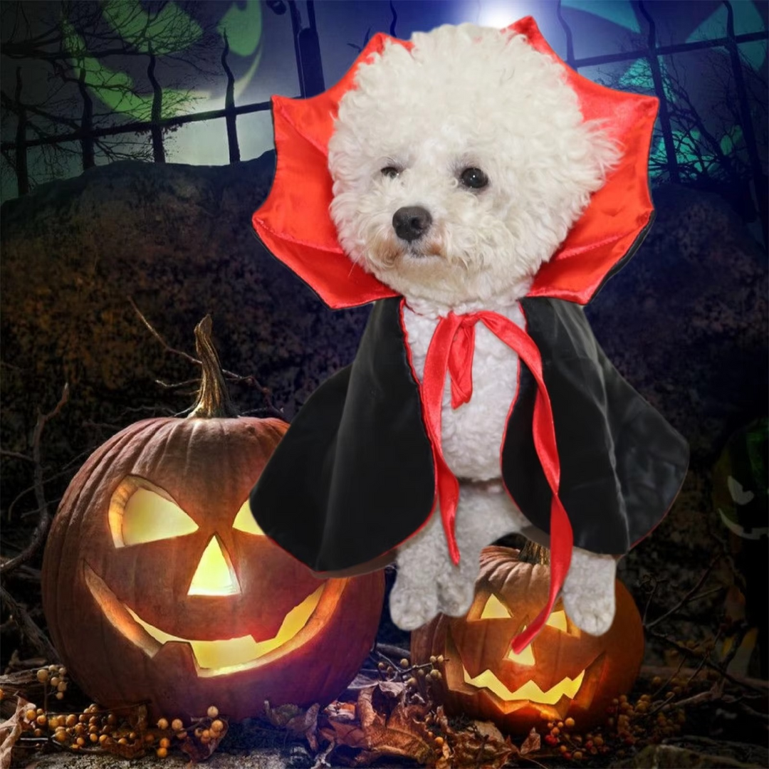 Skanto | Halloween Cape Kostyme for Katter og Små Hunder – Myk Kappe for Kjæledyr Cosplay og Høytidsfester
