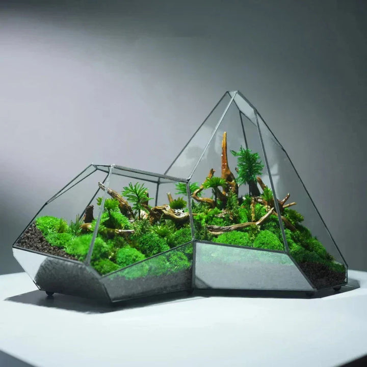 Geometrisk glassmoos-plantekasse terrarium-vase | Skanto