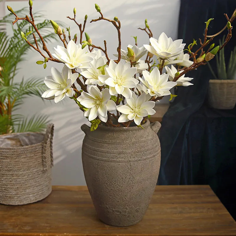 Skanto | Künstige Magnolia Blomster