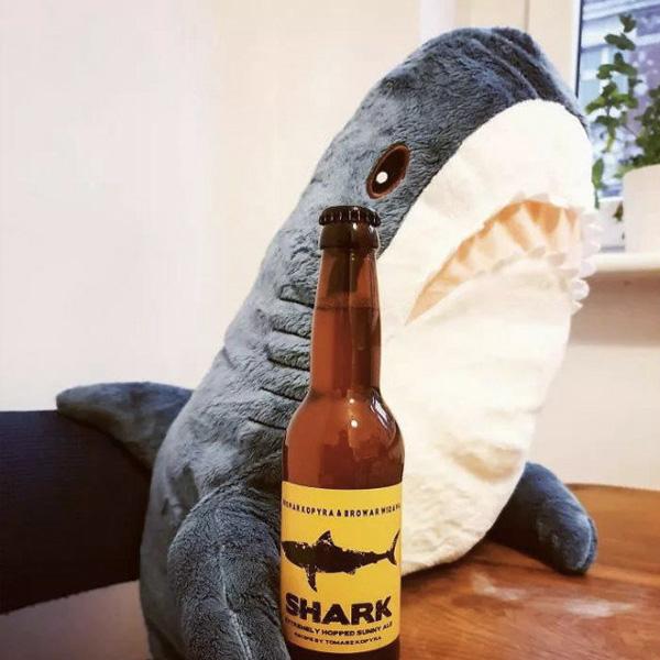 Shark Plush Toy | Skanto