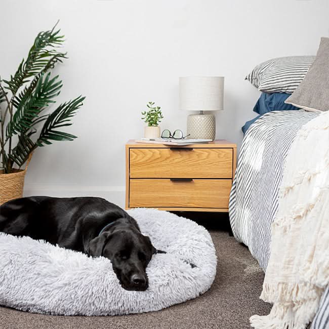 Skanto | FUZZYPLUSH – Ortopedisk Plush Hundeseng for Dyp Søvn