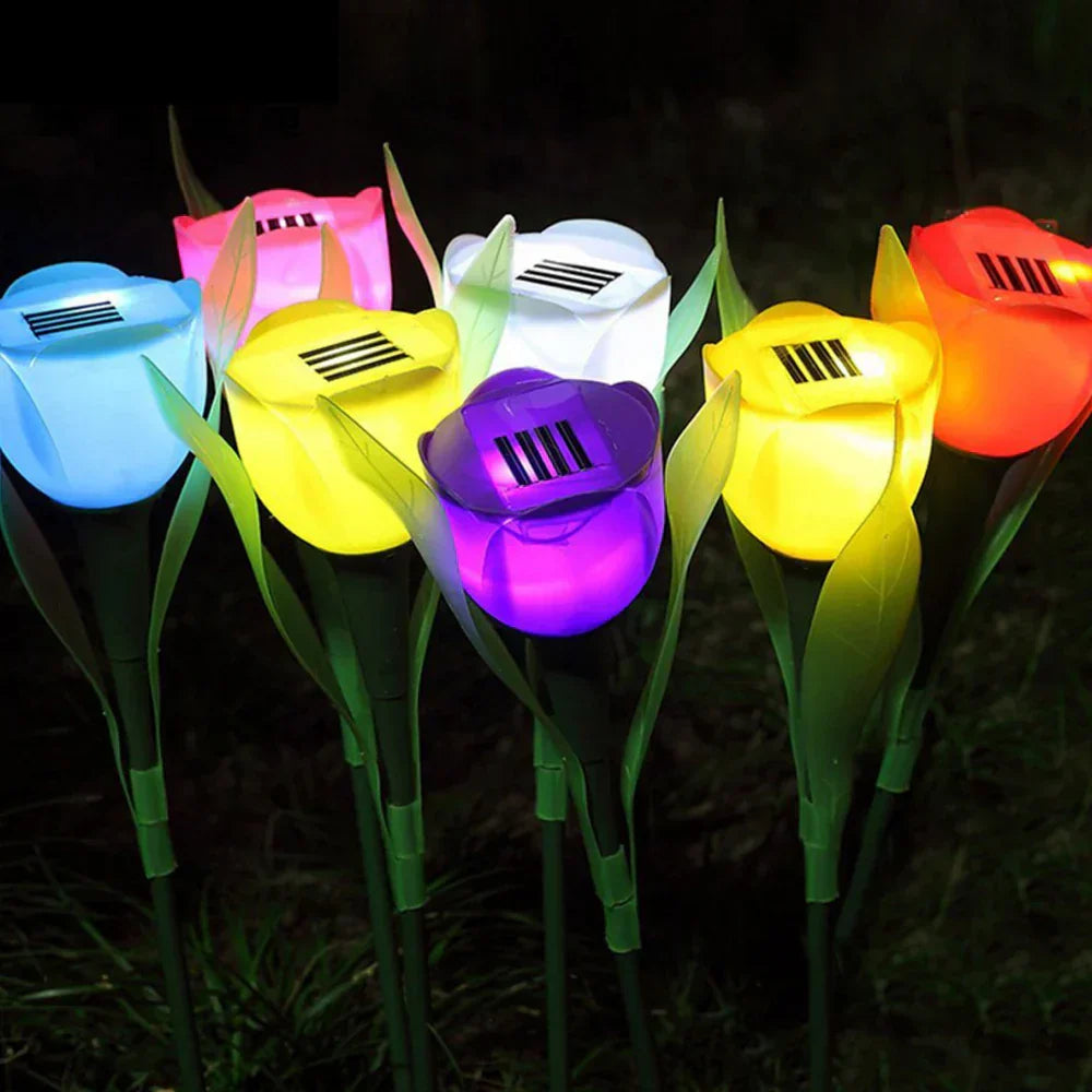 Skanto | Tulip lys som naturlig opplyser kvelder!