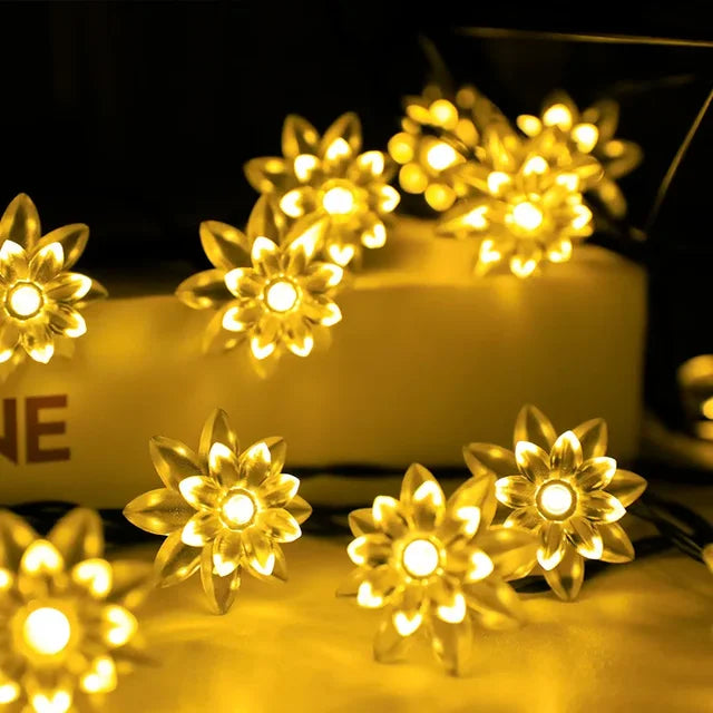 Skanto | Peach Blossom Fairy Lights