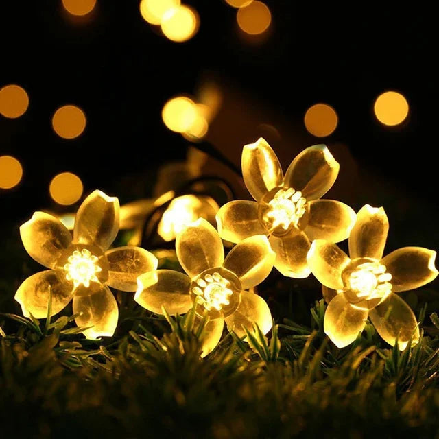 Skanto | Peach Blossom Fairy Lights