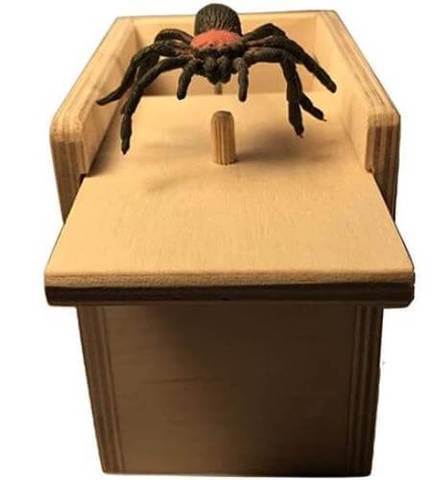Spider Prank Box | Skanto