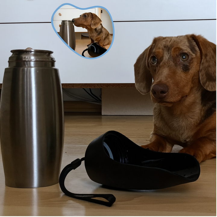 Skanto | Rustfritt Stål Hund Vannflaske Bærbar Lekkasje Sikret Reise Skål