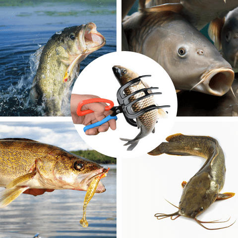 Skanto | en Fisketang Gripper Metall Fisk Kontroll