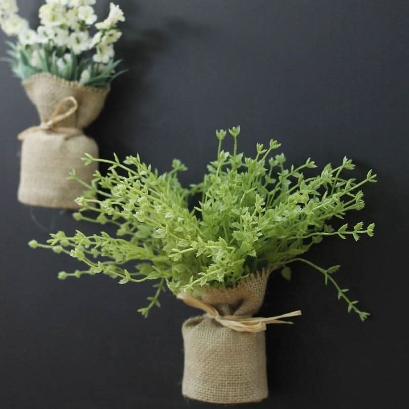 Skanto | MAGNALEAF - Magnetiske Mini Plantere