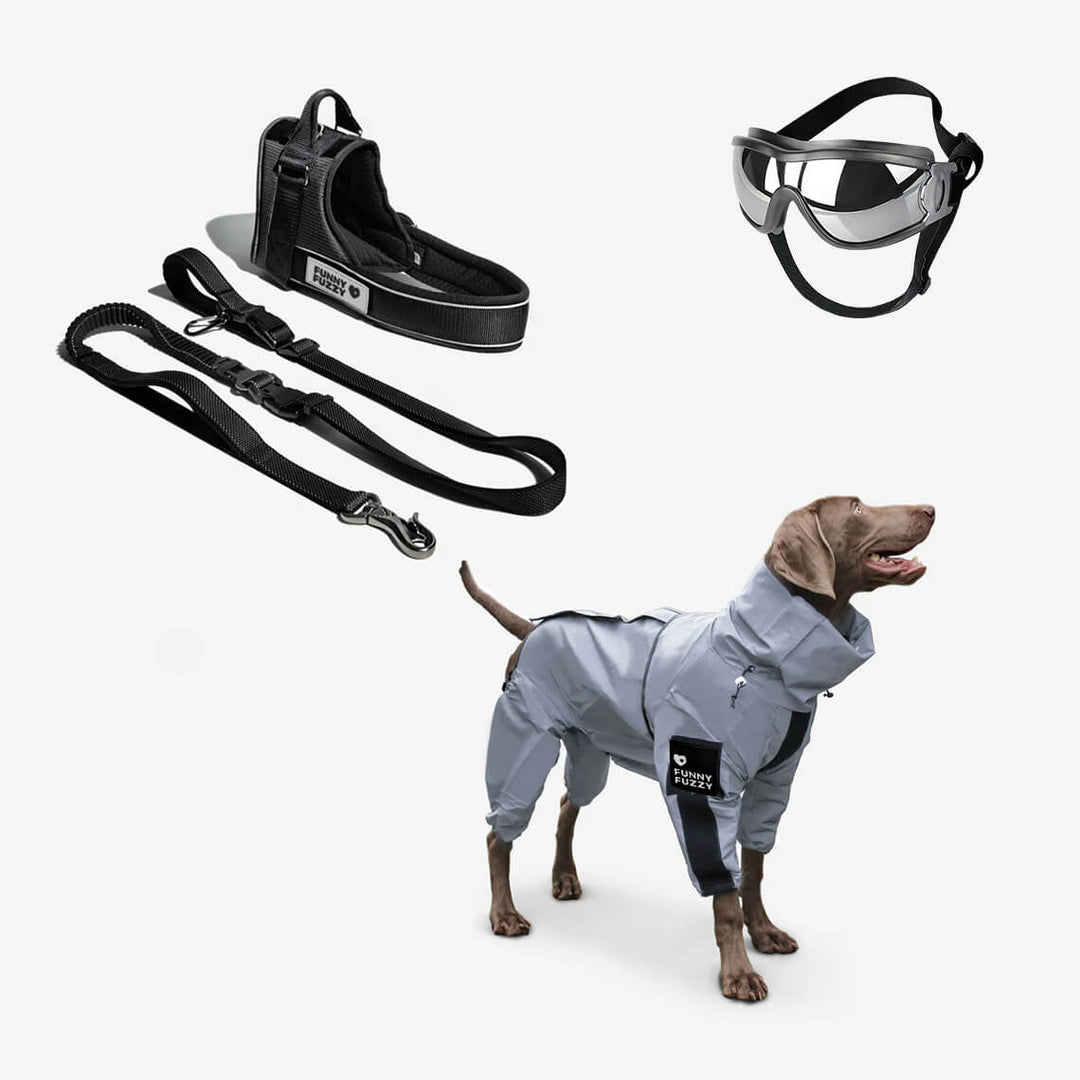 Skanto | Allvær Vanntett Kule Hundetilbehør Regnjakke