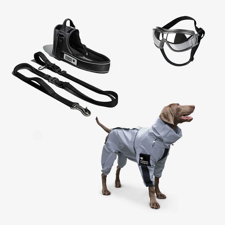 Skanto | Allvær Vanntett Kule Hundetilbehør Regnjakke