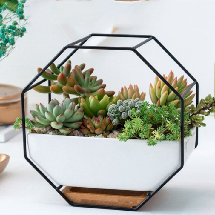 Skanto | Enkelt åttkantet geometrisk vegghengende bord succulentfat bambusstøtte jerrahylse blomsterpotte (svart)