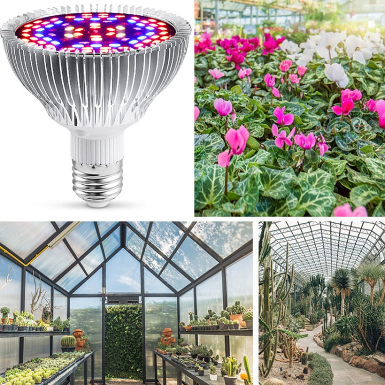 Skanto | LED Plantevekstlampe Fullspekter E27 Plantefyllingslys, Effekt: 30W 40 Lampeperler