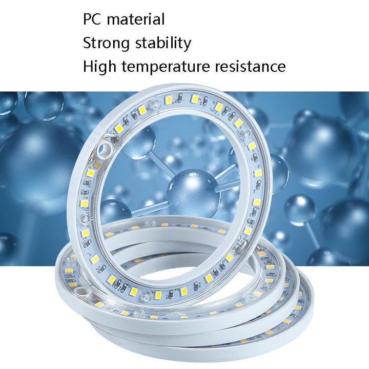 Skanto | LED Plantevekstlampe Full Spektrum Intelligent Tidtaker Innendørs Fylllys Ring Plante Lampe, Effekt: En Hode (Solskinn)