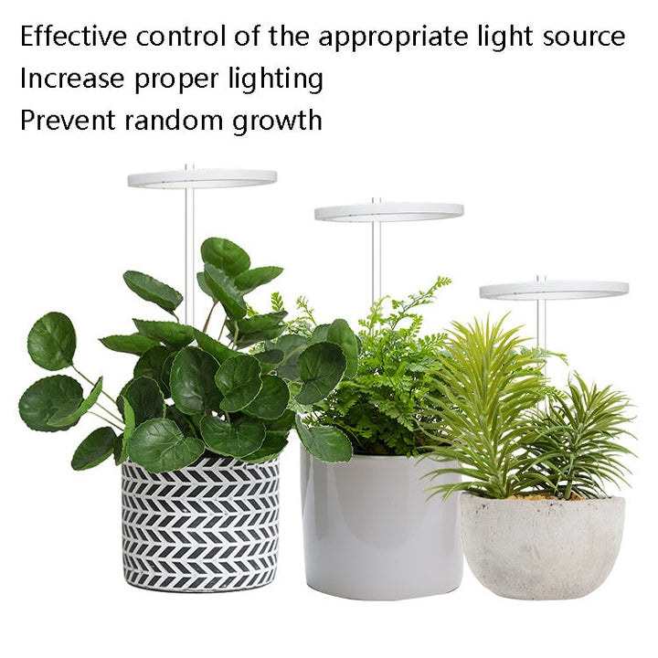 Skanto | LED Plantevekstlampe Full Spektrum Intelligent Tidtaker Innendørs Fylllys Ring Plante Lampe, Effekt: En Hode (Solskinn)
