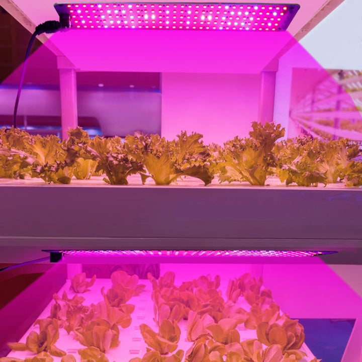 Skanto | 4 hoder 12V Full Spectrum Rød og Blå Lys Panel Plantevekstlampe Frøplante Fylllys (EU-plugg)
