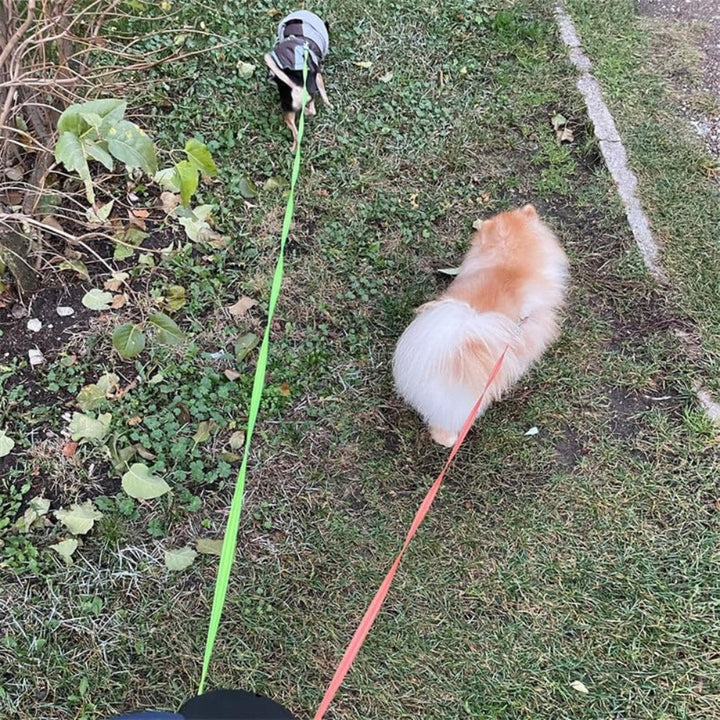 TangleFree Dobbel Hundesele - Tangle-Free Sele for Enkelt Gåtur med To Hunder | Skanto