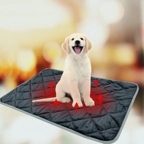 ToastyPaws Selvoppvarmende Pute for Hund