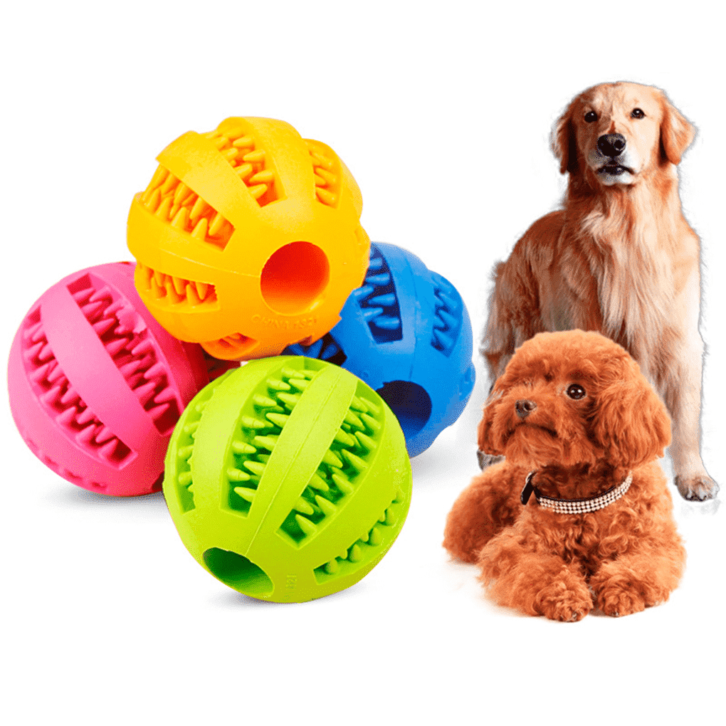 Tannpussende Hundeforsyning Leker | Skanto