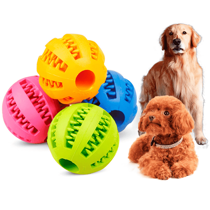 Tannpussende Hundeforsyning Leker | Skanto