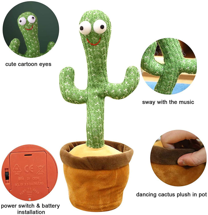 Smart Dancing Cactus | Skanto
