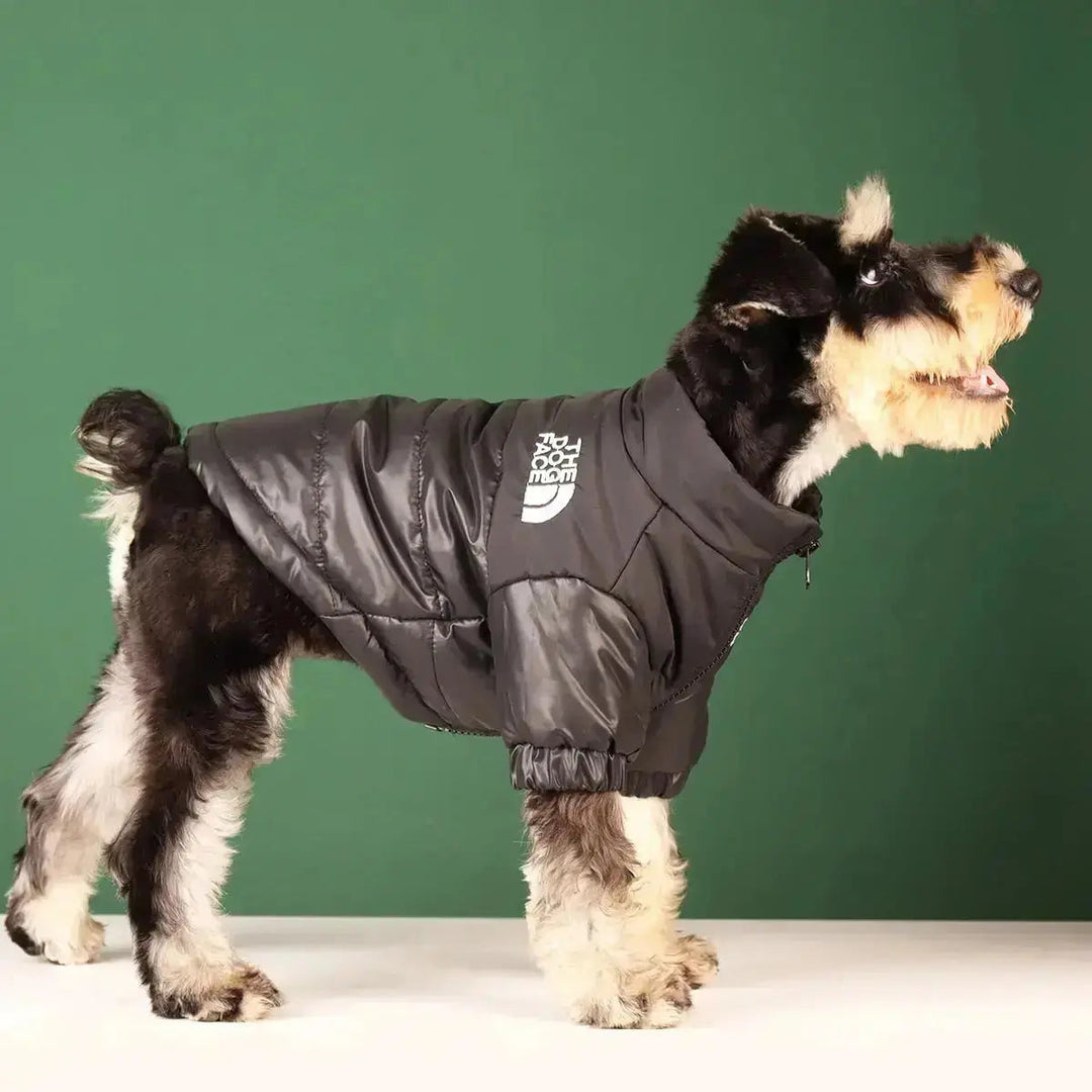 Skanto | The Dog Face Jacket - Type A
